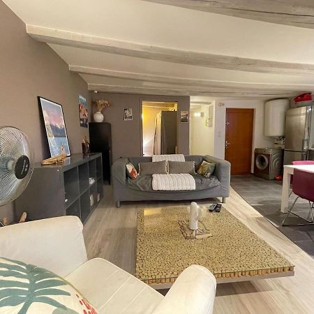 Le Plein Air D'Annecy, Proche Gare Apartman Kültér fotó